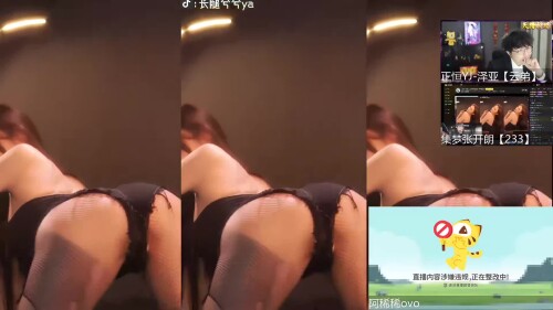 SM14V.mp4